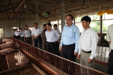 Đệm lót sinh học – mô hình mới cần nhân rộng